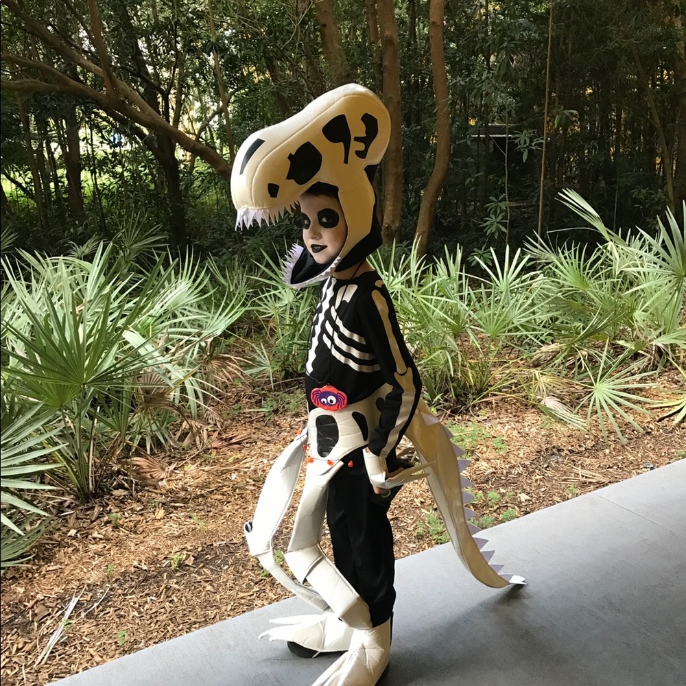 Dinosaur skeleton chasing fireflies costume